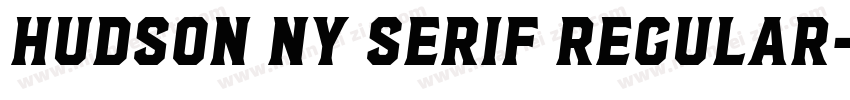 Hudson NY Serif Regular字体转换